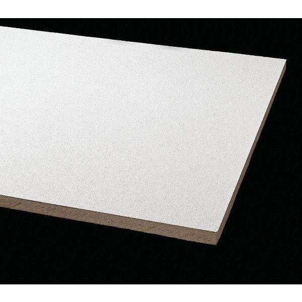 Clean Room Ceiling Tile, 24 in W x 48 in L, 8 PK