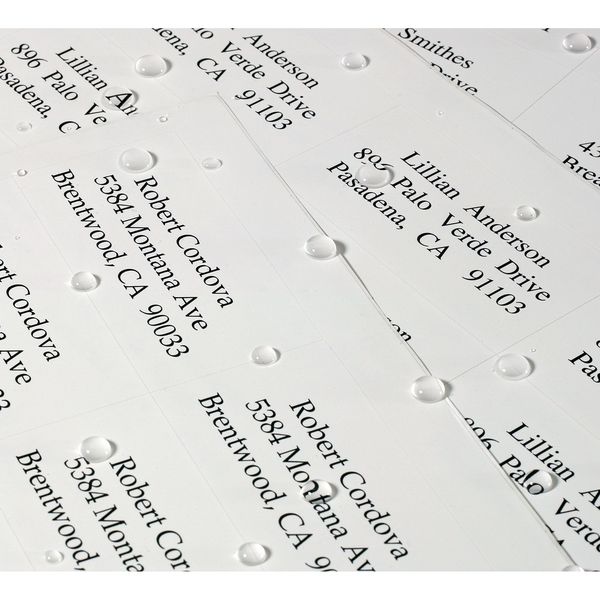 AveryÂ® WeatherProofâ¢ Mailing Labels with TrueBlockÂ® Technology for Laser Printers 5520, 1