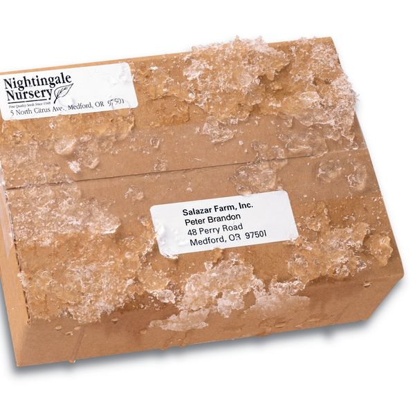 AveryÂ® WeatherProofâ¢ Mailing Labels with TrueBlockÂ® Technology for Laser Printers 5520, 1