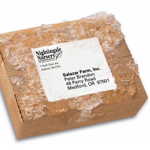 AveryÂ® WeatherProofâ¢ Mailing Labels with TrueBlockÂ® Technology for Laser Printers 5524, 3-1/3