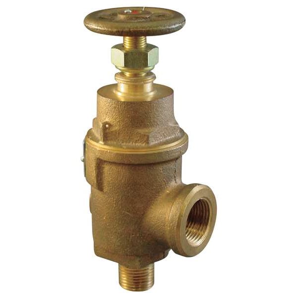 Adjustable Relief Valve, 3 In, 100 psi