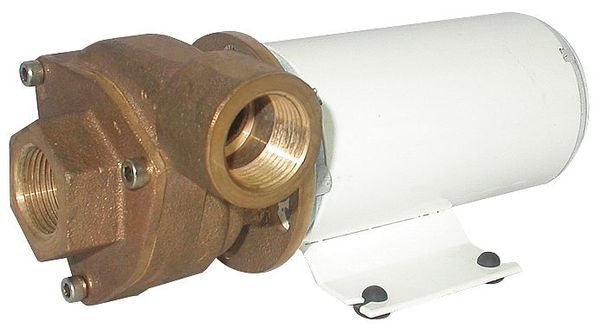 Brass 1/8 HP Centrifugal Pump 36V