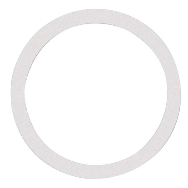 Gasket, Size 4 In, I-Line, PTFE