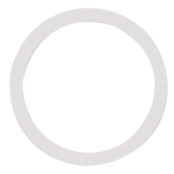 Gasket, Size 2 In, I-Line, PTFE