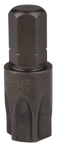 Torsion Bit, SAE, 5/16