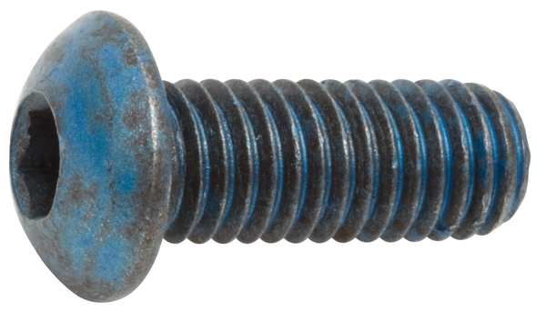 M3-0.50 Socket Head Cap Screw, Metric Blue Steel, 8 mm Length, 50 PK