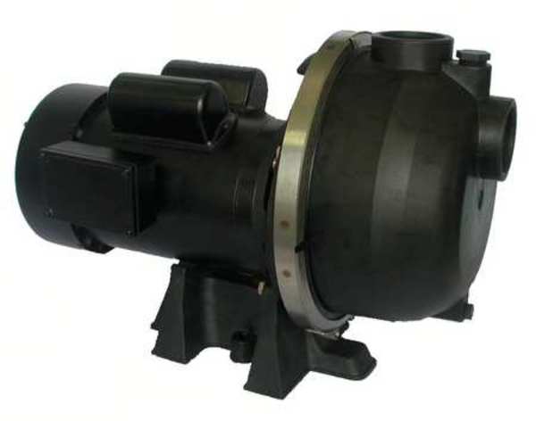 Centrifugal Pump, 2 hp, 120/208 to 240V AC, 1 Phase