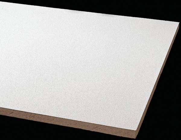 Clean Room Ceiling Tile, 24 in W x 48 in L, 8 PK