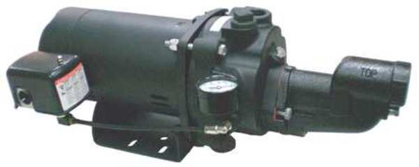 Shallow Well Jet Pump, CI, 1HP, 115/230V