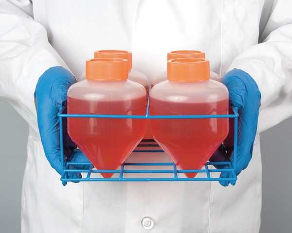 Conical Tube Rack, 500ML