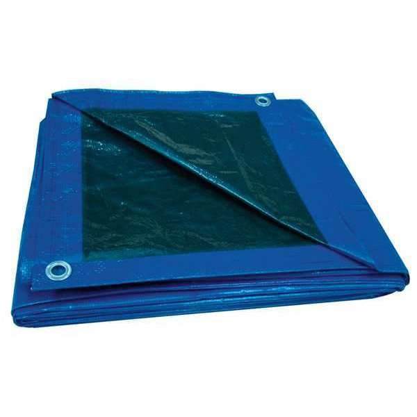 Tarp, 40 x 60 ft, 5.1 mil, Polyethylene, Standard Duty, Blue