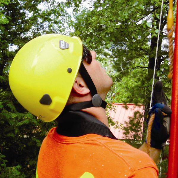 Neck Support System, Polyurethane Foam