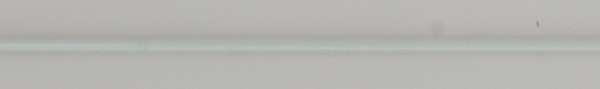 Warning Whip, LD, 7 Ft, White