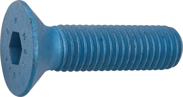 M10-1.50 Socket Head Cap Screw, Metric Blue Steel, 50 mm Length, 10 PK