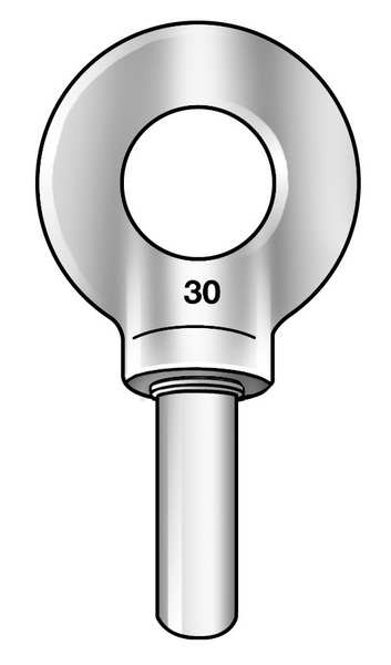Machinery Eye Bolt Blank With Shoulder, Unthreaded, 2-1/2 in Shank, 1-13/16 in ID, Stainless Steel