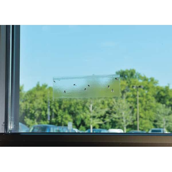 Fly Trap, 7 In. L, 3 In. W, PK4