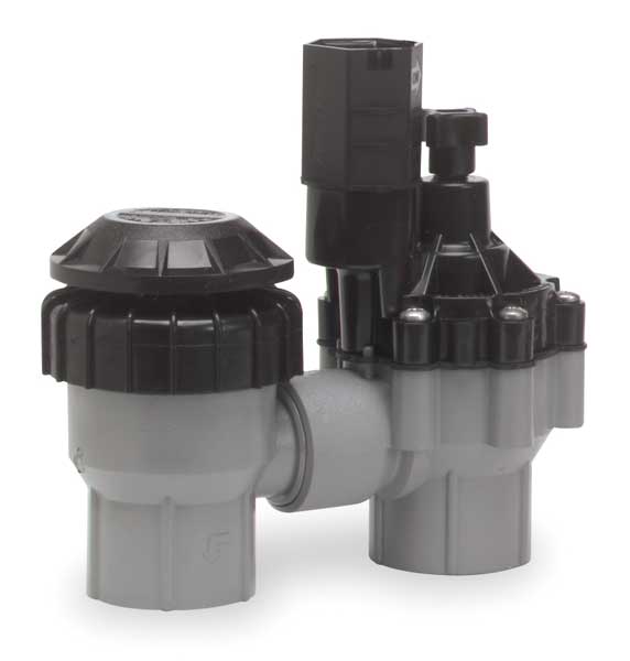 Valve, Antisiphon, 3/4in