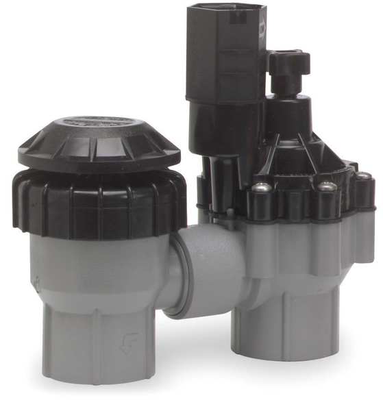 Valve, Antisiphon, 3/4in