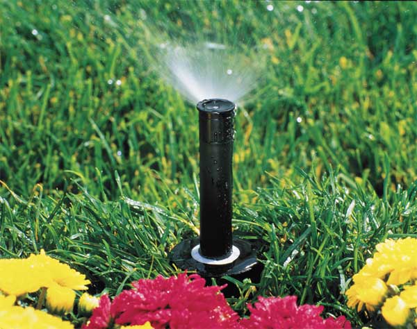 Spray Head for Shrubs, 6 In. H, Plastic