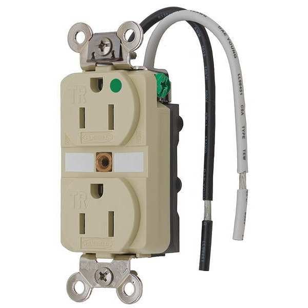 15A Duplex Receptacle 125VAC 5-15R IV