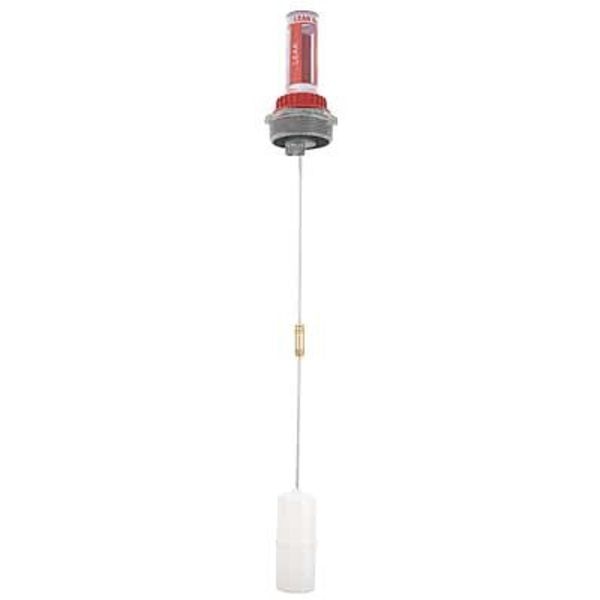 Leak Gauge, Tank, 36 In, 2 In NPT