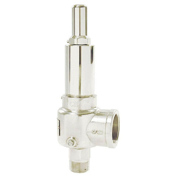 POP Safety Valve, 3/4 x 1-1/4In, 175psi