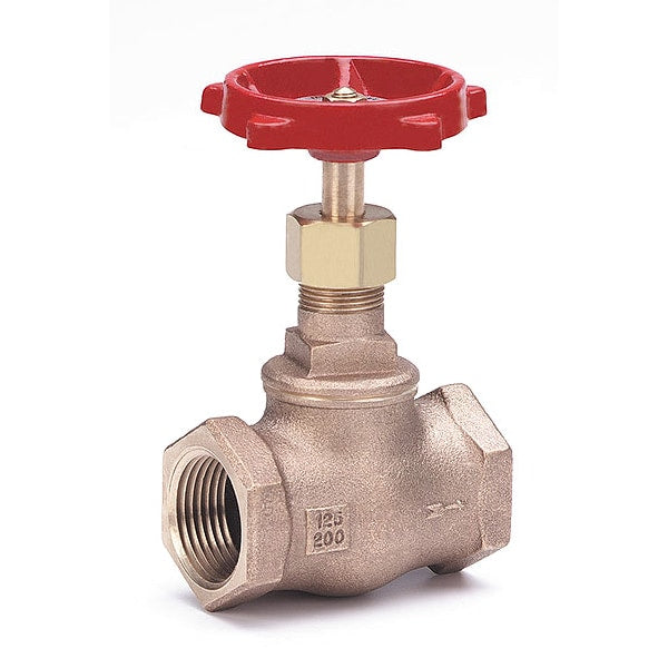 Globe Valve, Class 125, 1 In.