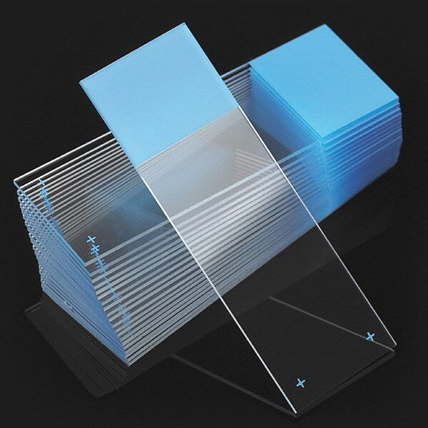 Microscope Slide, Blue, 25x75mm, PK72