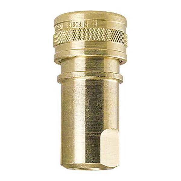 Brass Socket, 1/8\u0022x1/8\u0022FPT