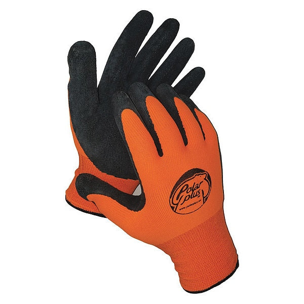 Cold Protection Gloves, Thermal Lining, XL