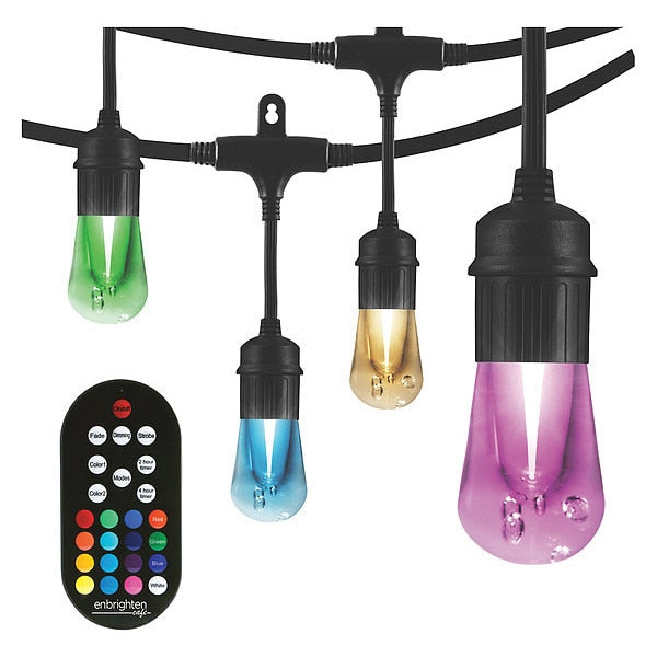 Seasons Cafe Lights, 24 ft., 12 Bulbs