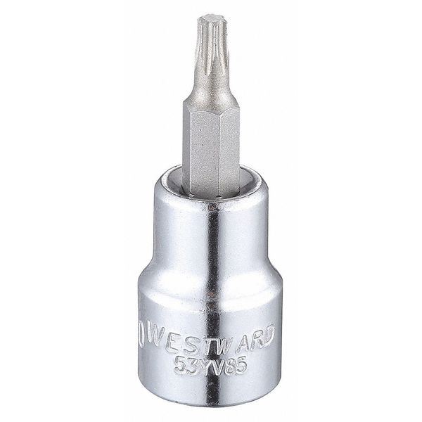 T20 Tip, Socket Bit, Torx 3/8 in Drive