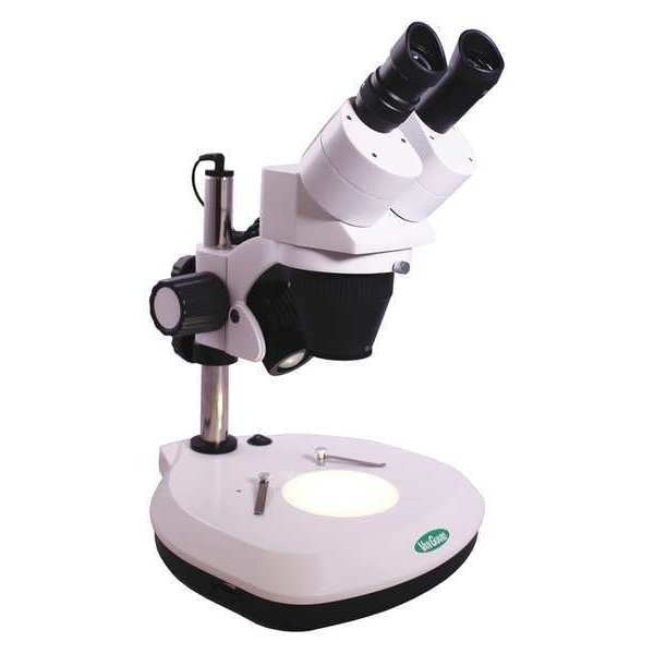 Microscope, LED, Binocular, 11-1/2