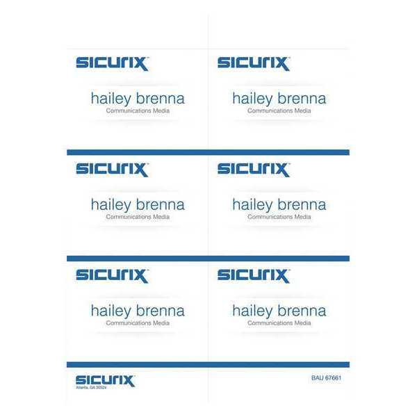 Replacement Badge, Color White, PK300