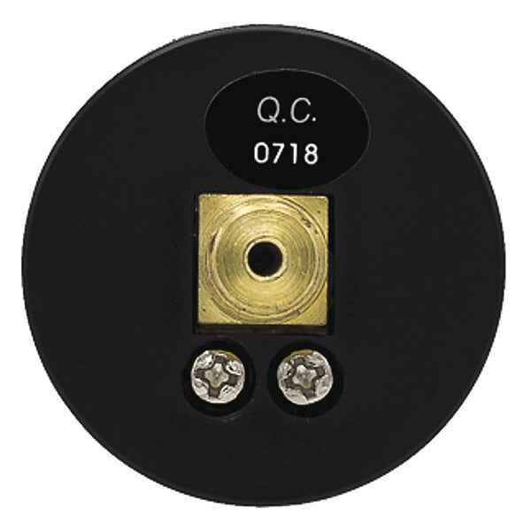 Pressure Gauge, 0 to 30 psi, 1/8 in BSPT, Black