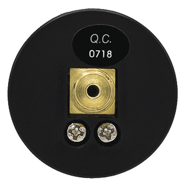Pressure Gauge, 0 to 60 psi, 1/8 in BSPT, Black