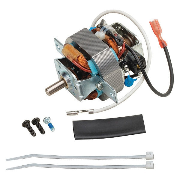 Motor, 120V, 3