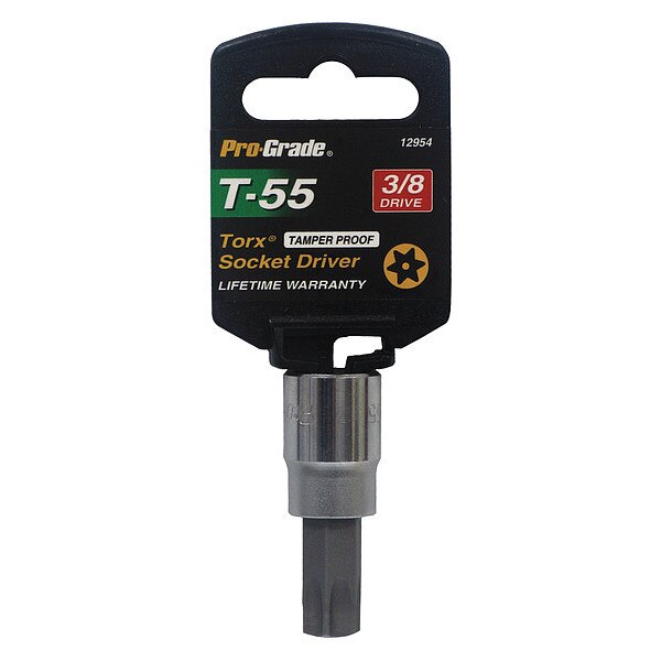 Tamper Proof Torx Socket, 3/8