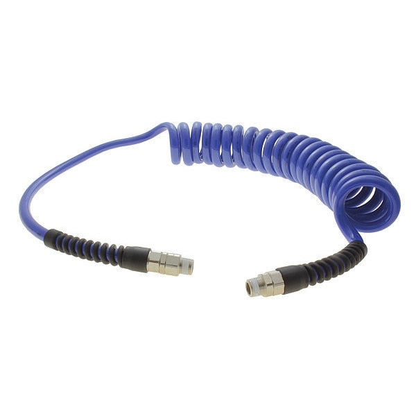 Coiled Air Hose, 1/4