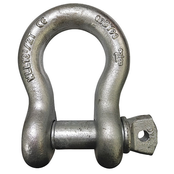 Anchor Shackle, Screw Pin, 1-1/2