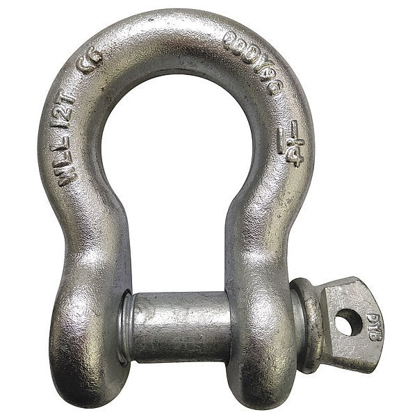 Anchor Shackle, Screw Pin, 5/16