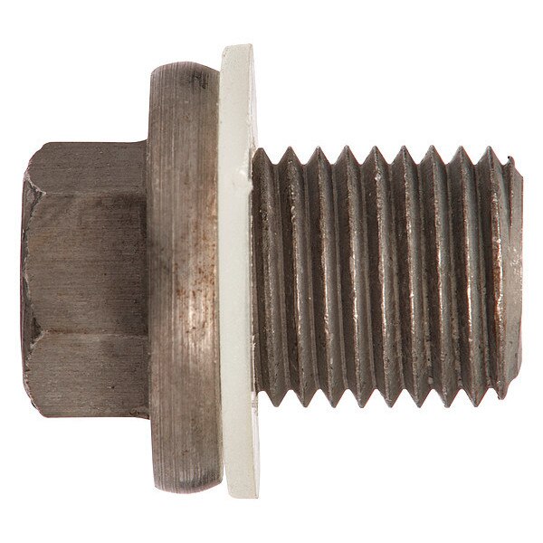 Oil Drain, 1-1/2