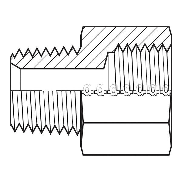 Hose Adapter, 1/8