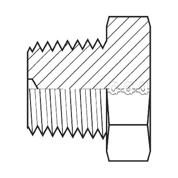 Hose Adapter, 3/4