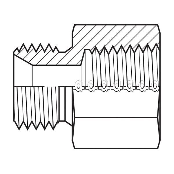 Hose Adapter, 1