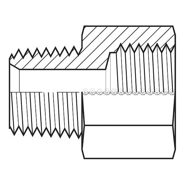Hose Adapter, 1/2