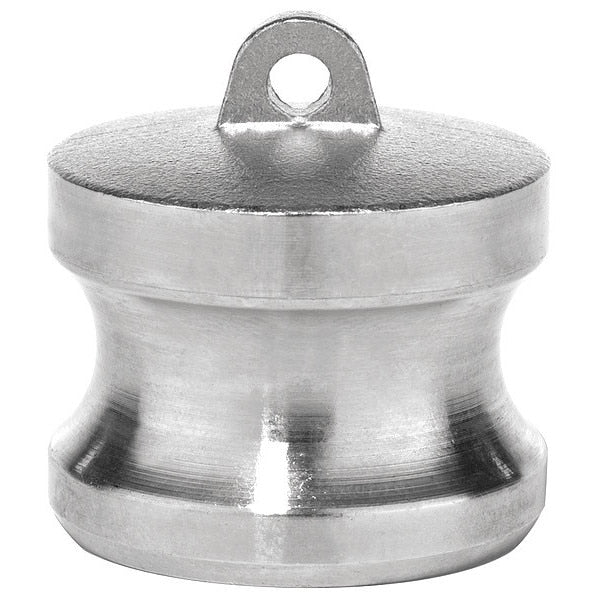 Dust Plug, Type DP, 304 SS, 2-1/2