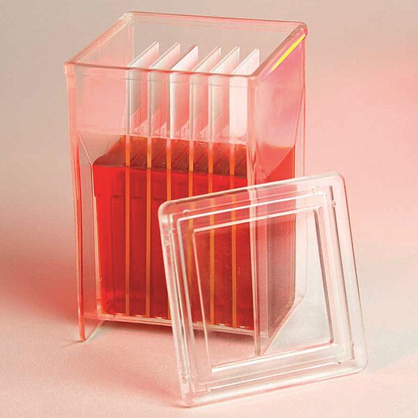 Staining Jar, 57x27x57 mm, PK4