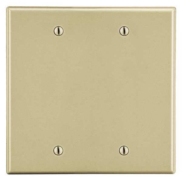 Blank Box Mount Wall Plate, Number of Gangs: 2 Plastic, Smooth Finish, Ivory