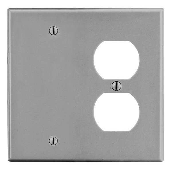Blank Wall Plate, Number of Gangs: 2 Plastic, Smooth Finish, Gray